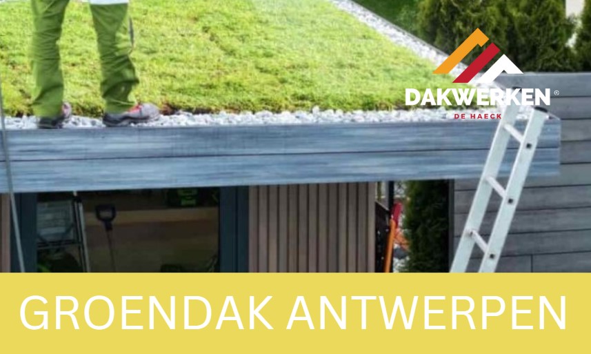  AntwerpenEen dak bedekt met vegetatie in Antwerpen, biedt isolatie en verhoogt duurzaamheid en biodiversiteit.
