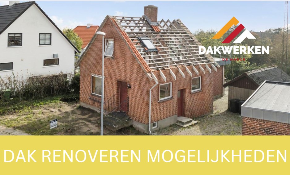 Dak renoveren mogelijkheden