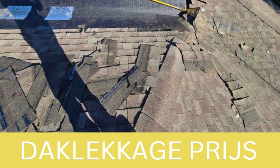 daklekkage prijs